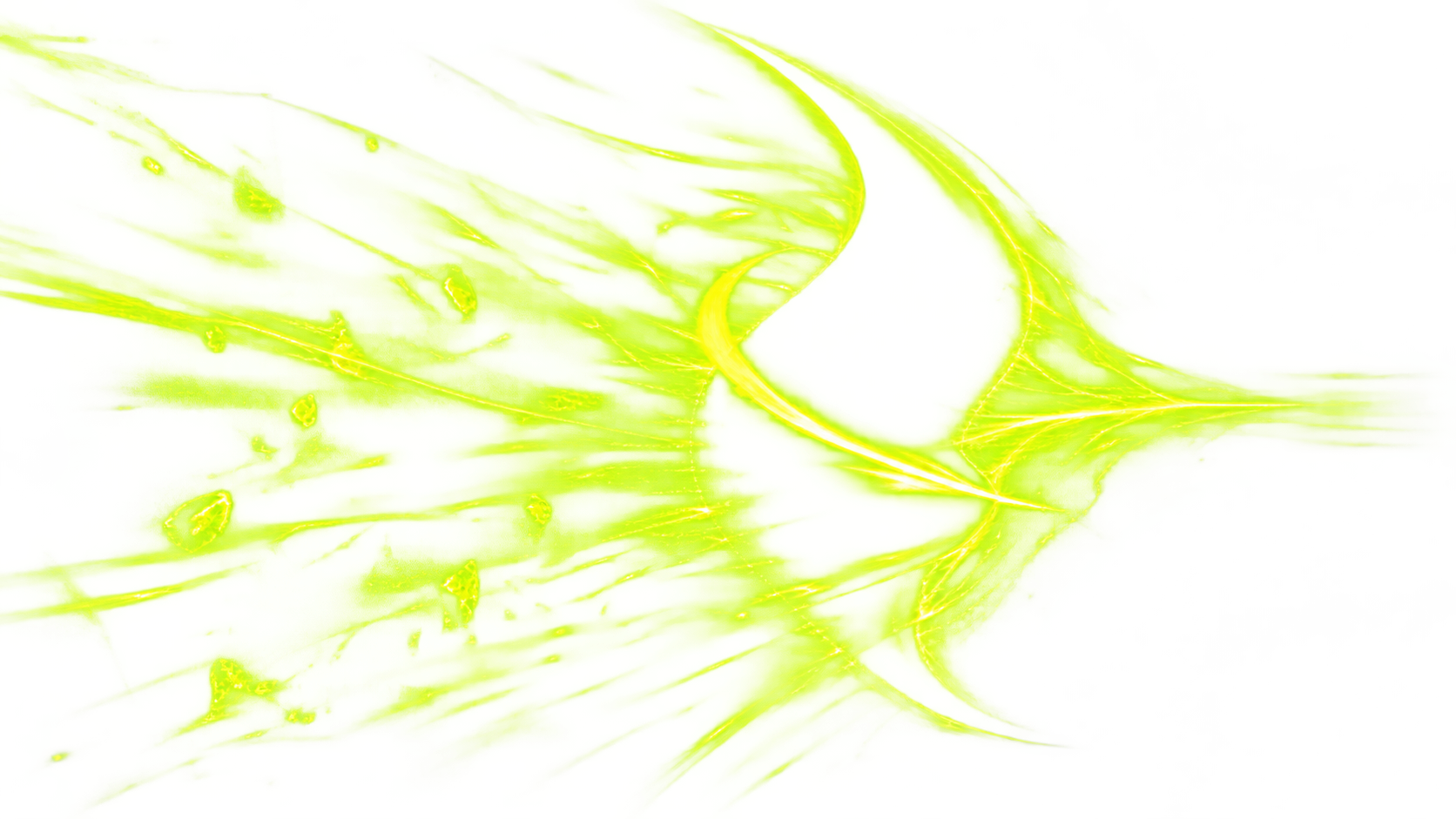 Weeper’s flowing green brand mark